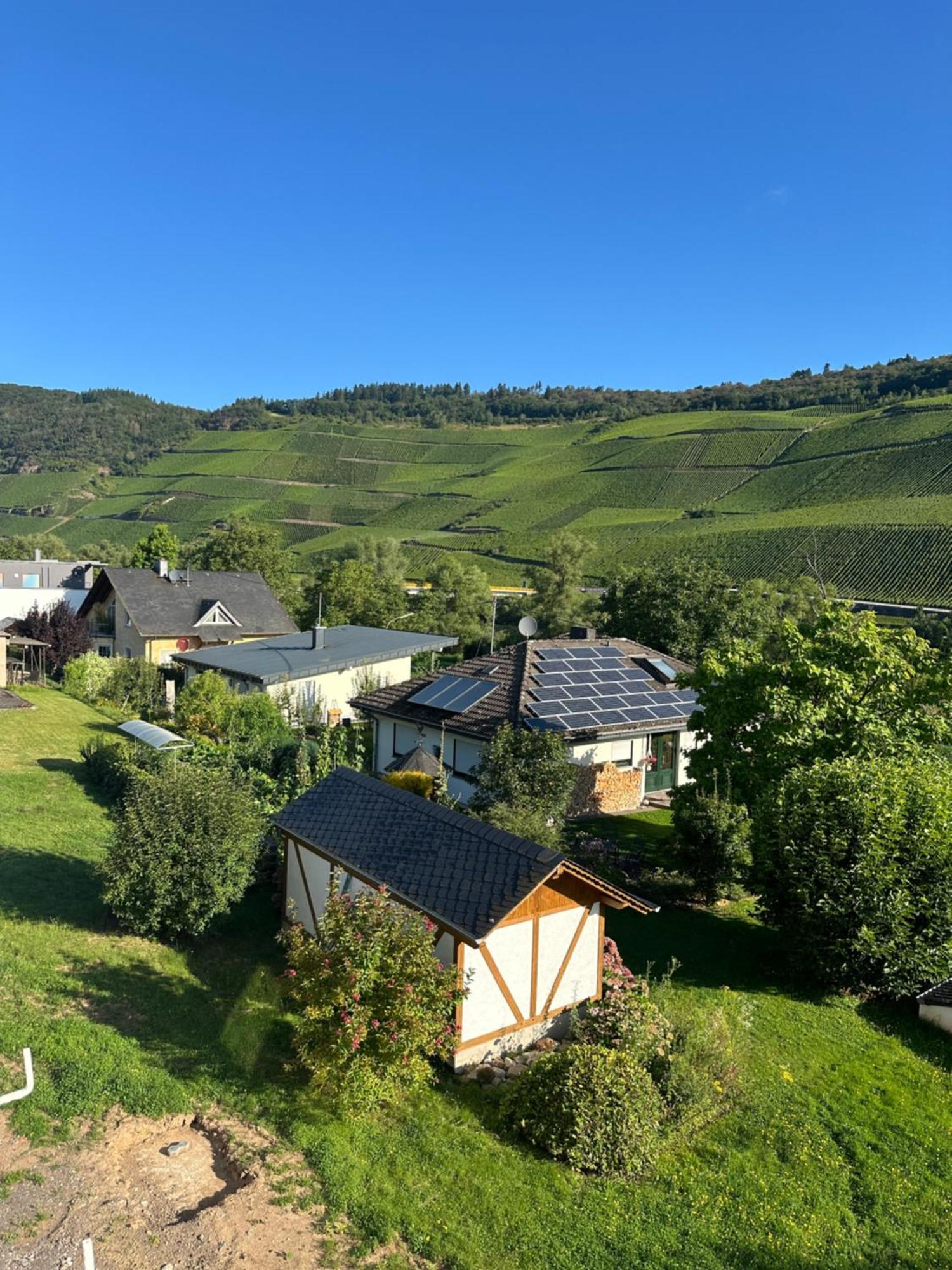 Moselappartements By Weingut Marco Adamy Lösnich Εξωτερικό φωτογραφία