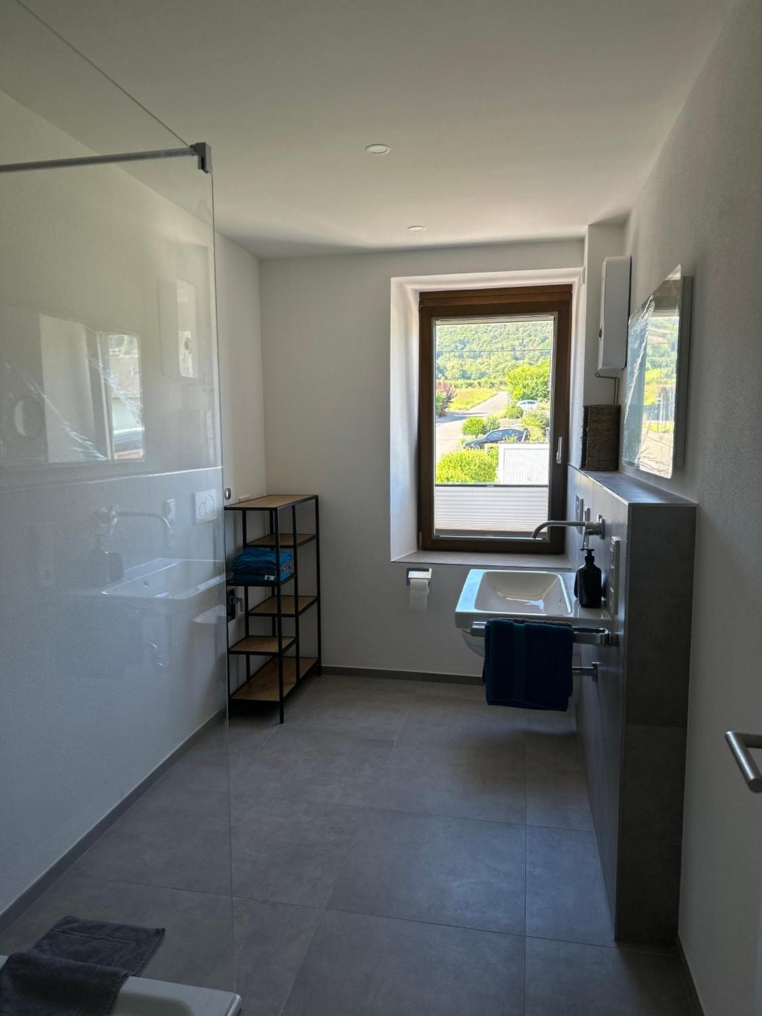 Moselappartements By Weingut Marco Adamy Lösnich Εξωτερικό φωτογραφία