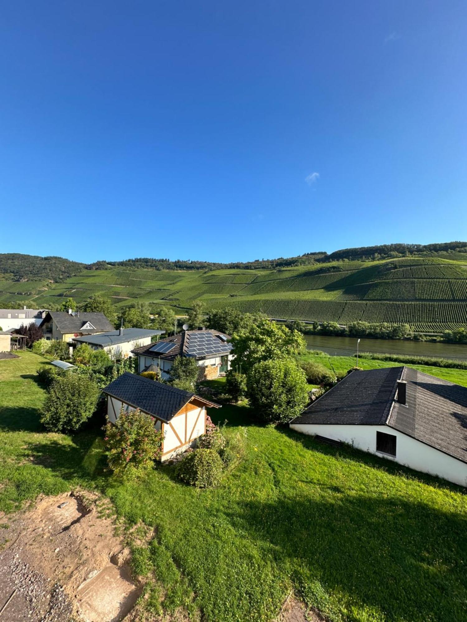 Moselappartements By Weingut Marco Adamy Lösnich Εξωτερικό φωτογραφία