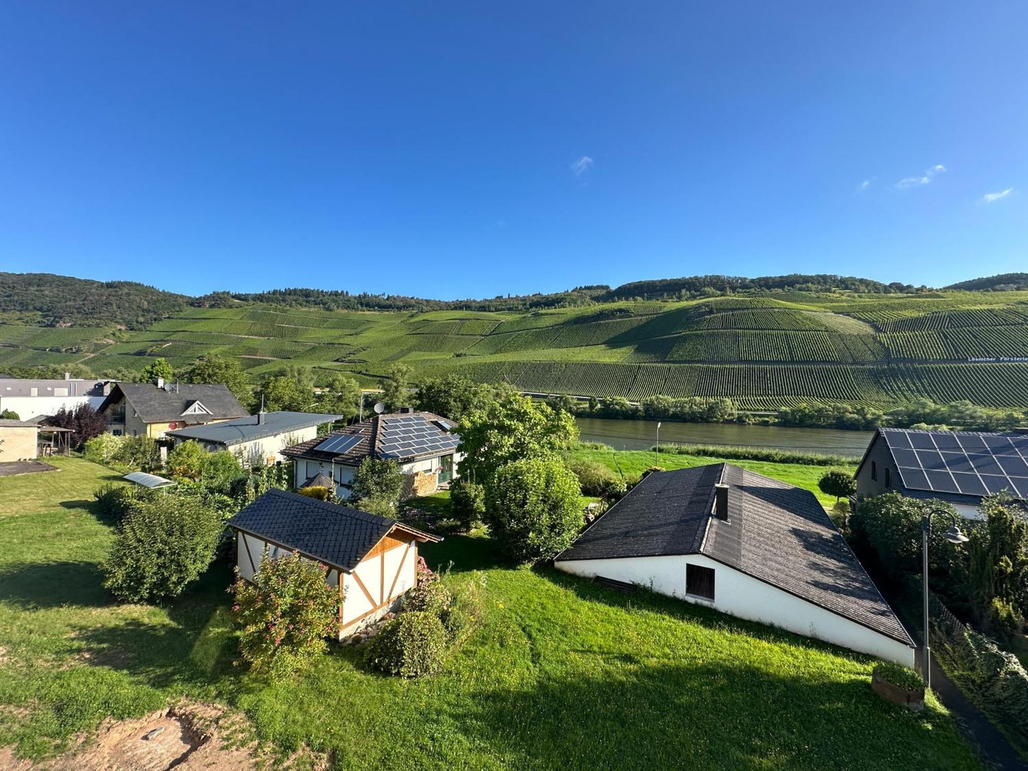 Moselappartements By Weingut Marco Adamy Lösnich Εξωτερικό φωτογραφία