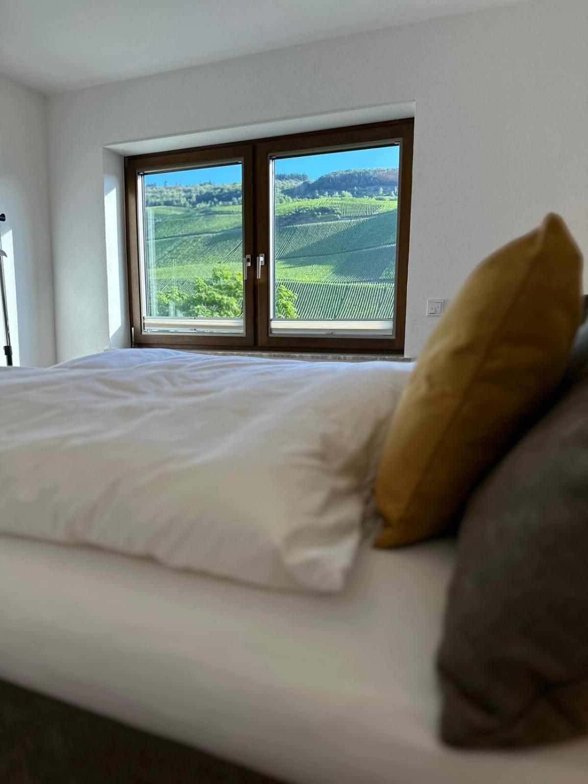 Moselappartements By Weingut Marco Adamy Lösnich Εξωτερικό φωτογραφία