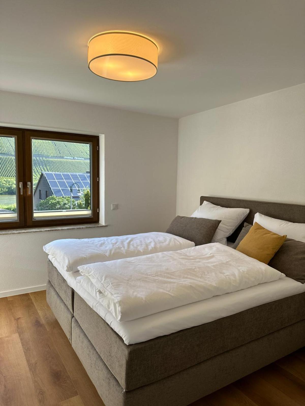 Moselappartements By Weingut Marco Adamy Lösnich Εξωτερικό φωτογραφία