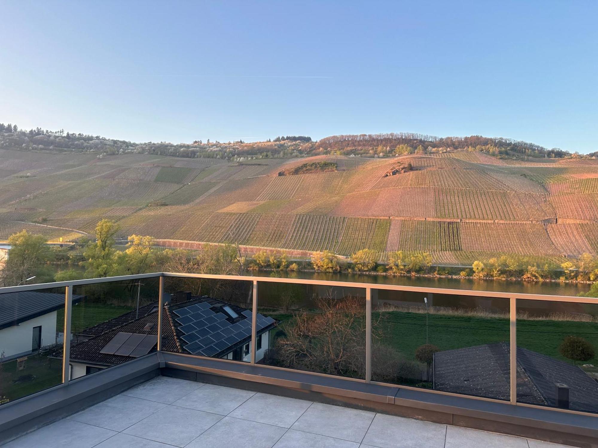 Moselappartements By Weingut Marco Adamy Lösnich Εξωτερικό φωτογραφία
