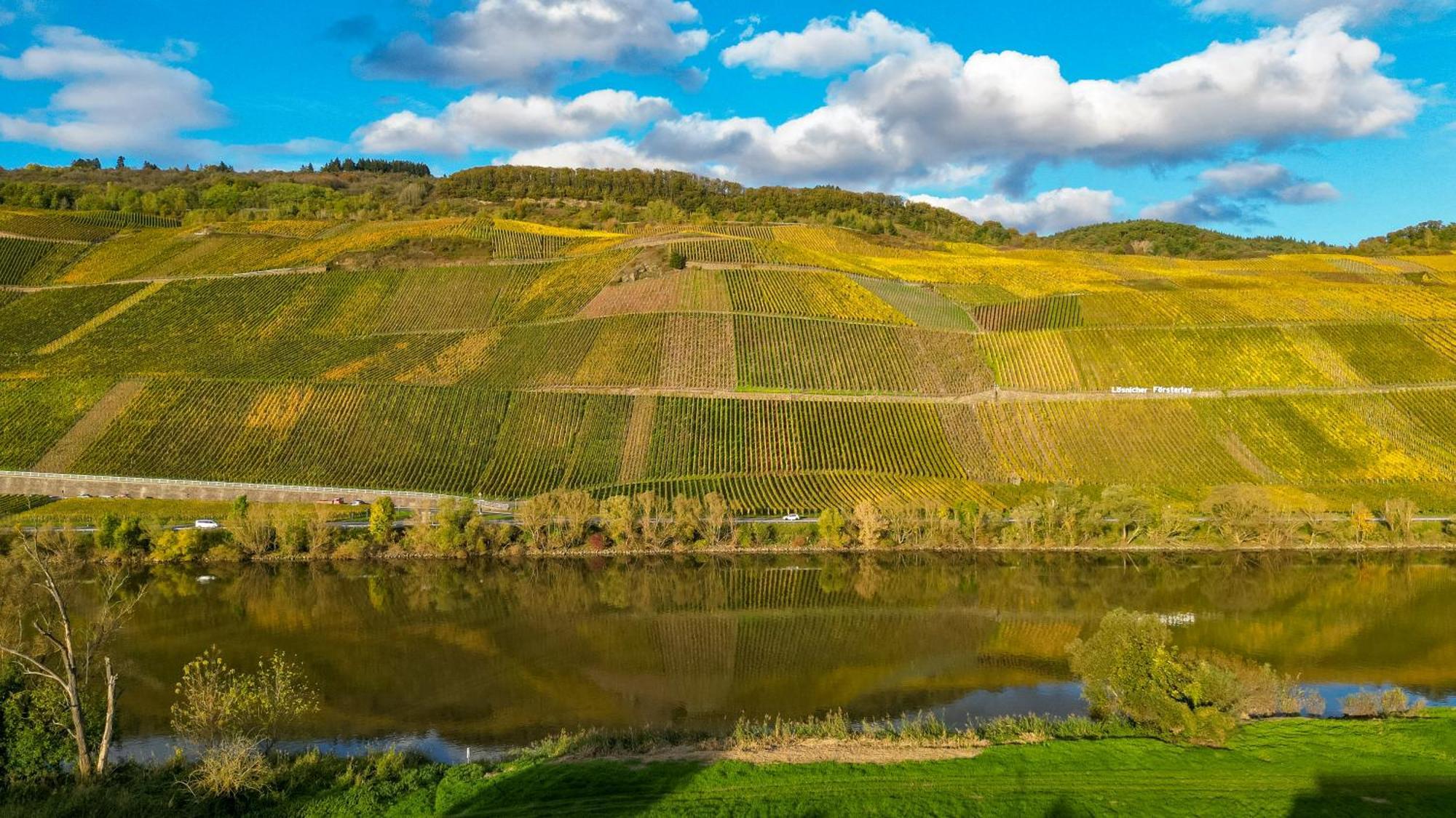 Moselappartements By Weingut Marco Adamy Lösnich Εξωτερικό φωτογραφία