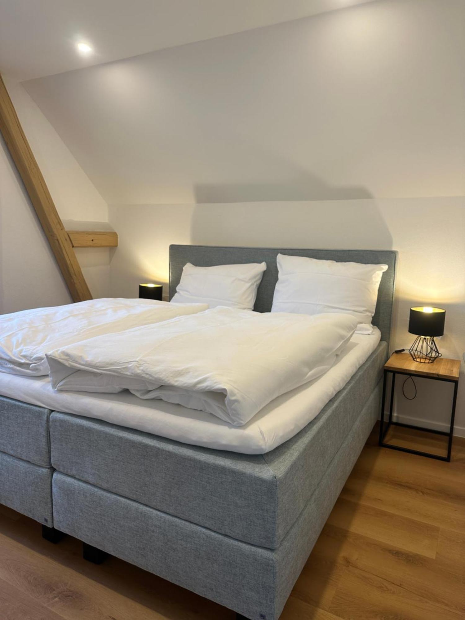 Moselappartements By Weingut Marco Adamy Lösnich Εξωτερικό φωτογραφία
