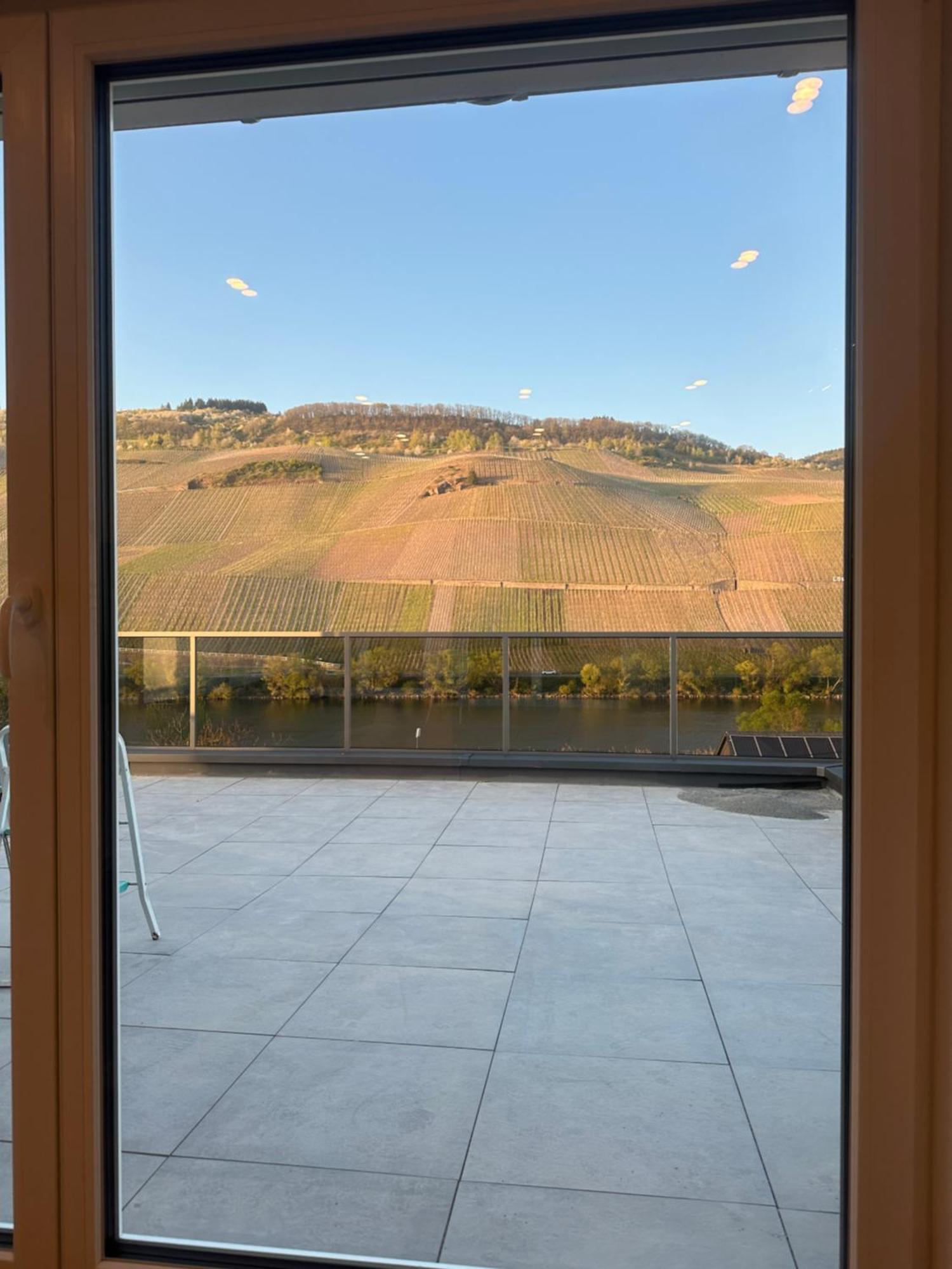 Moselappartements By Weingut Marco Adamy Lösnich Εξωτερικό φωτογραφία