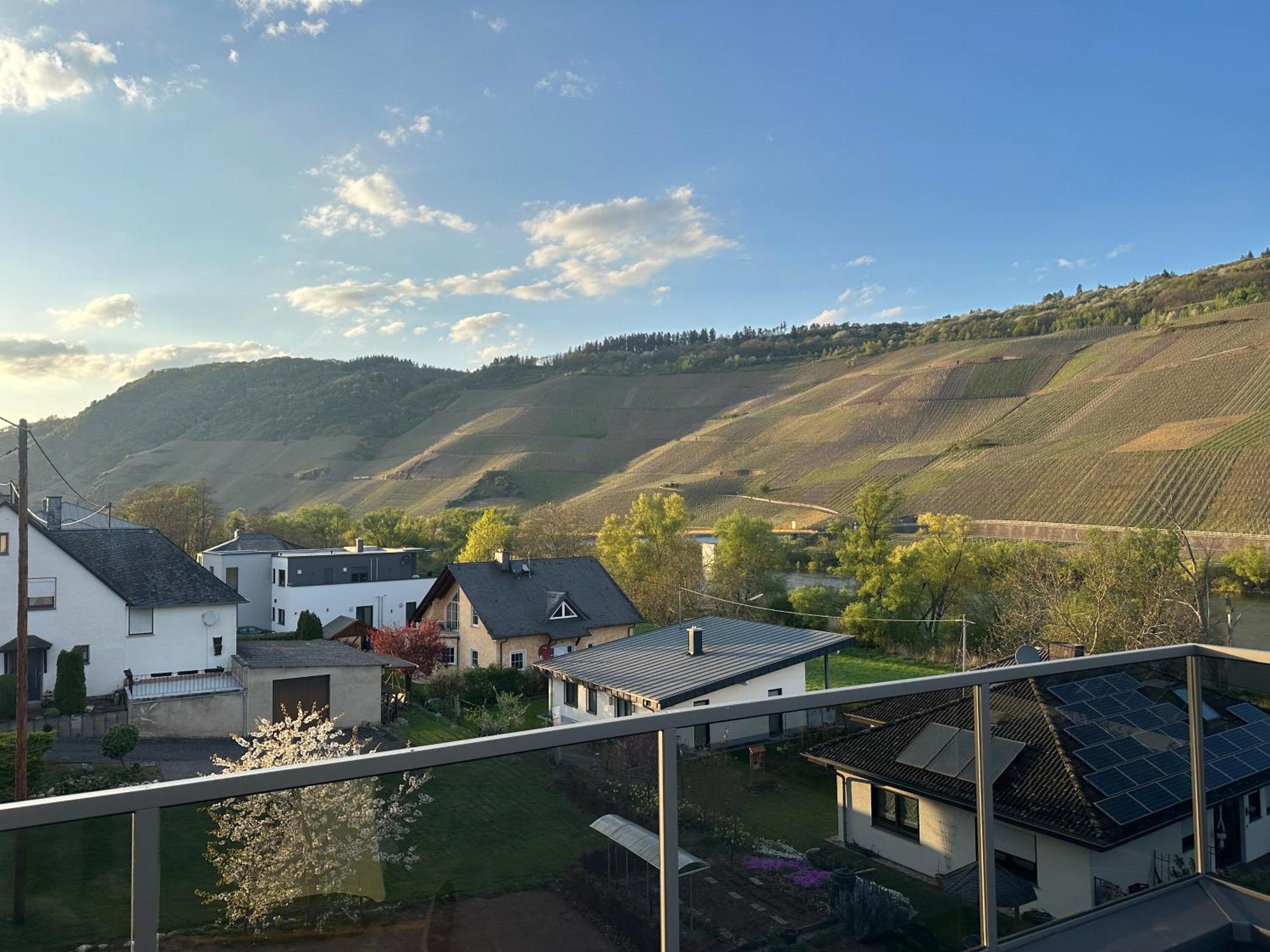 Moselappartements By Weingut Marco Adamy Lösnich Εξωτερικό φωτογραφία